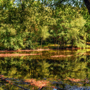 photo Late Summer Pond - Taken at Bunks Pond on September 13, 2016 by Terry Niec