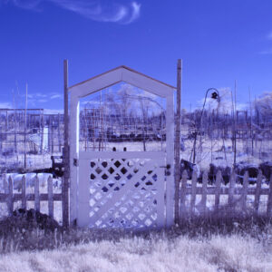 photo Untitled - Taken in Spring, 2016 by Melinda Myers