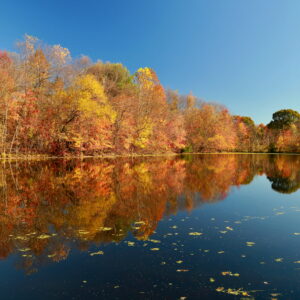 photo Autumn Reflections - Taken at Cattail Pond on the morning of Nov. 5, 2016 by Scott Doty