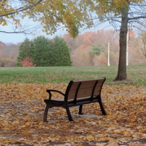 photo Thanksgiving Day Walk Around Kinder Park - I took a walk around Kinder Park on Thanksgiving Day and I loved the contrast  in color and the stillness of the park.  Taken on November 24, 2016 by Marian Brophy