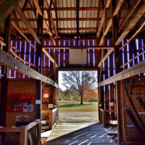 photo Looking Outside - Taken in the Tobacco Barn on November 12, 2016 by Karen Belton