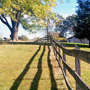 photo Fence - Taken on October 31, 2016 by Denise Miller