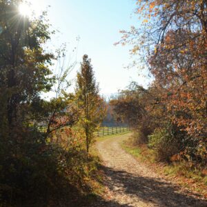 photo Country Road - Taken on November 19, 2016 by Martin McCann