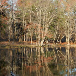 photo Kinder Spring at Bamboo Pond - Taken on March 22, 2016 by John E Murphy