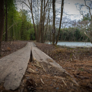 photo Path Well Traveled - Taken at Bunk's Pond on December 4, 2016 by Kevin McCarthy