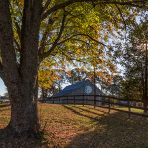 photo Golden Barn - Taken on November 5, 2016 by Kevin McCarthy