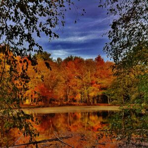 photo Autumn Pond Scene - Taken on October 31, 2016 by Matthew Beziat