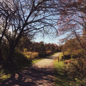 photo Golden Walks - Taken of the Perimeter trail in Autumn on October 30, 2016 by Victoria Mucciacciaro