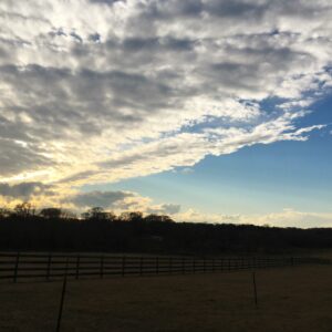 photo Early Winter Skies - Taken near the big open fields in the back of the park on December 30, 2016 by Victoria Mucciacciaro