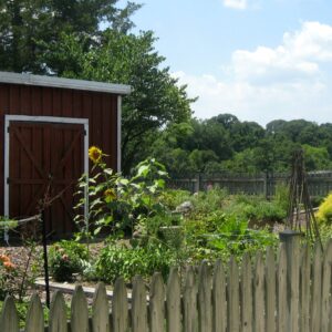 photo In the Garden - Taken at the Kitchen Garden on July 21, 2016 by Jennifer Magnusen
