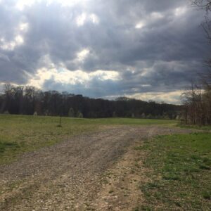 photo Take the Road Less Traveled - Taken near top parking lot on April 2, 2016 by Olivia Tubaya