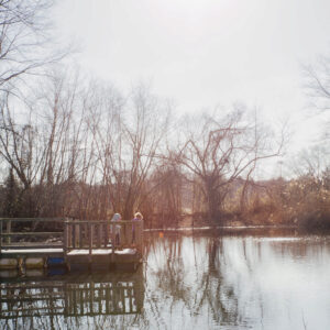 photo Winter Pond - I thought this shot showed the beauty of the trees and winter foliage as they reflect on the pond.  Taken on December 28, 2016 by Amanda Augsburger