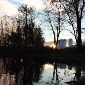 photo Evening sunset - Taken on November 17, 2016 by Amy Rittenhouse