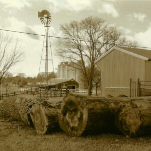 photo Kinder December - Taken on December 30, 2016 by Michele Amos