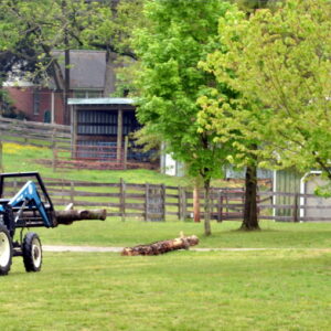 photo Clearing the Way - Taken near the sawmill on May 11, 2016 by June Morris