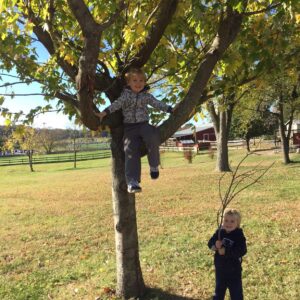 photo Playing Around - Taken of her boys playing around trees on November 6, 2016 by Courtney Heflin