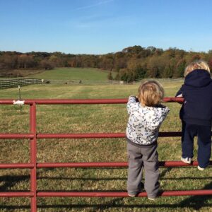 photo Boys on a Fence - Taken of her sons who were searching for cows, on November 6, 2016 by Courtney Heflin