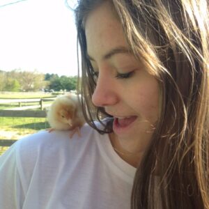 photo Springtime in the Park - Taken in April, 2016 by Stephanie Fleming