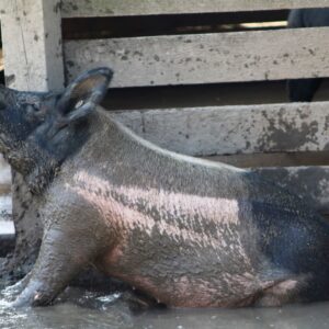 photo Enjoying Life - Taken on August 23, 2017 by Mirjam Spaar