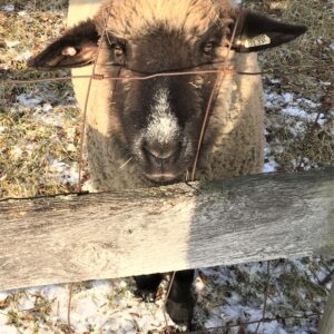 photo My Friend, 0139 - Taken on December 30, 2017 by Chuck Kozub