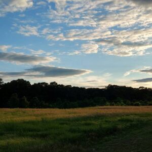 photo Big Field Next to Wildflower Trail - Taken on May 26, 2017 next to the Wildflower Trail by Lorinda Bradley-Lewis
