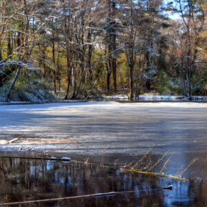 photo First Snow - Taken on December 10, 2017 at Bunk's Pond by Terry Niec