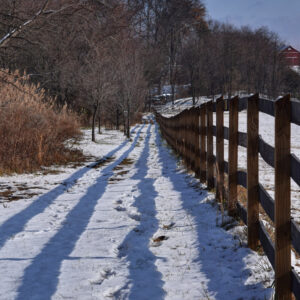 photo Stripes - Taken on December 10, 2017 at field below barn by Terry Niec