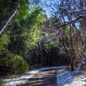 photo Bamboozledpes - Taken on December 10, 2017 above Bunk's Pond by Terry Niec