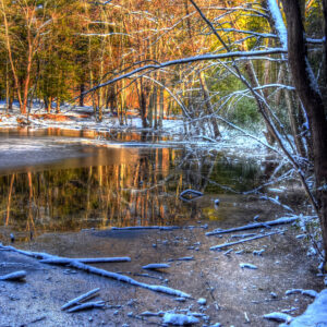 photo Mirrored - Taken on December 10, 2017 at Bunk's Pond by Terry Niec