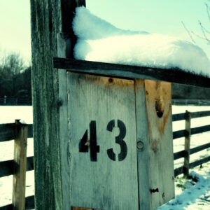 photo Snowy Nesting Box - Taken on December 10, 2017 near the fence in the back pasture by John E. Murphy