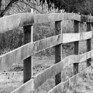 photo Fence B &W - Taken on December 5, 3017 in the back pasture by John E. Murphy