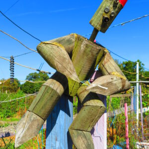 photo Scarecrow Standing Guard at Farm Plot - Taken on September 11, 2017 in the Community Garden by John E. Murphy
