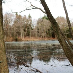 photo Bunks Pond - Taken on December 20, 2017 by Mirjam Spaar