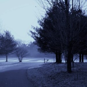 photo Frosty Morn - Taken on December 2, 2017 in the large field near the upper parking lot by Martin McCann