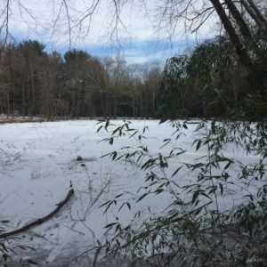 photo Wintertime at Bunk's Pond - Taken on December 30, 2017 by Christine Kamenoff