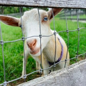 photo Are You Lookin' At Me? - Taken on September 1, 2018 by Tyler Wilby