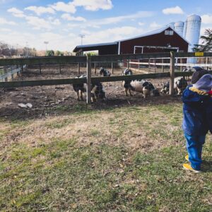 photo Pigs say Oink Oink Mom - Taken at the pig pen of my son on March 14, 2018 by Taylor Corona