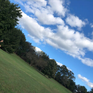 photo Kinder Kite Flight - Taken at the volleyball field on October 13, 2018 by Dawn Szuba