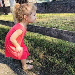 photo Watching the Goats - Taken on October 3, 2018 by McKenzie Cosgrove