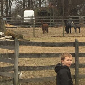 photo "Alpacas, goat, and groundhog, Oh My!” said Isaiah Mase - Taken on November 30, 2018 by Kristine Mase