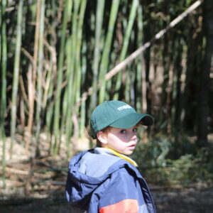 photo Wonder in the World of Bamboo - My grandson was awed as we walked through the 'bamboo forest'.   When we were planning on returning to the park, he specifically asked to see this area again.  Taken on March 31, 2018 by Mirjam Spaar