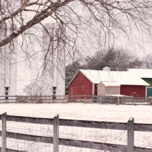 photo Winter Wonder at KFP - Taken March 1, 2019 standing in parking lot facing the barn and silos. by Elaine Hambly