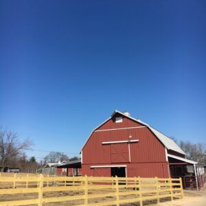 photo New Fence - Taken behind the Cow Barn on March12, 2019 by Sarah Anderson