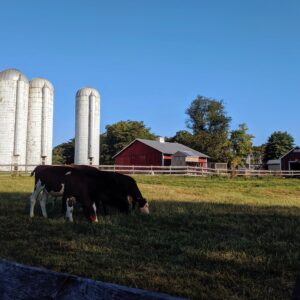 photo Early Morning - Taken on September 16, 2019 by Carol Collins