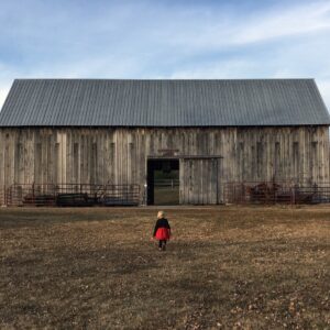photo Party Dress at the Tobacco Barn - Taken on November 26, 2019 by Sarah Anderson