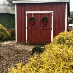 photo Festive Doors - Taken on December 29, 2019 by Vicki Ladd
