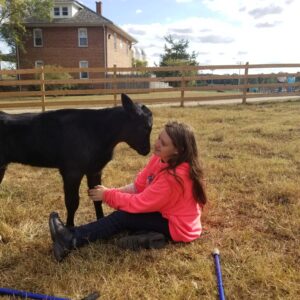 photo Short Lived Love 2 - Taken in the new cattle fenced area near the cow barn of my sister and Ferdinand on October 5 2019 by Bud Elsalesser