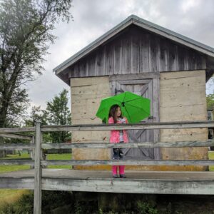 photo Rainy Day - Taken by the icehouse on May 16, 2019 by Carol Collins