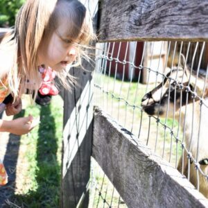 photo A Bond Between Human and Animal - Taken on June 11, 2019 by Katherine Burr