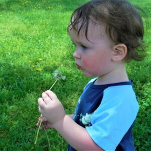 photo Making a Wish - Taken in front of the Kinder Farmhouse on May 17, 2019 by Donna Corcoran